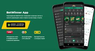 BetWinner Mobile App A Comprehensive Guide