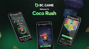 Comprehensive Guide to the BC.Game Deposit Process 1700503269